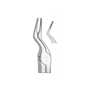 EXTRACTION FOCEPS WITH ANATOMICAL GRIP