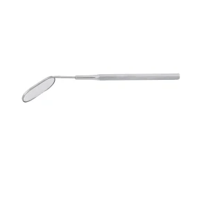 Eyelash Tweezer & Scaler
