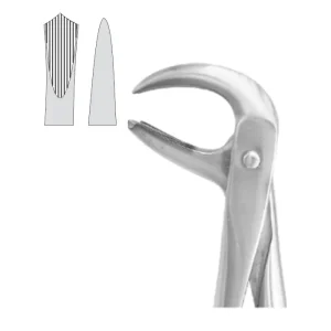 EXTRACTION FOCEPS STANDARD ENGLISH PATTERN